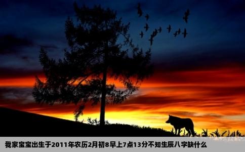 我家宝宝出生于2011年农历2月初8早上7点13分不知生辰八字缺什么