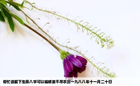 帮忙讲解下生辰八字可以嘛感激不尽农历一九八八年十一月二十日