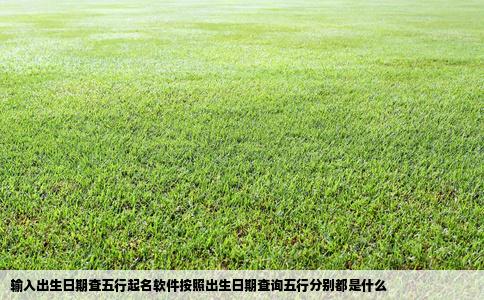 输入出生日期查五行起名软件按照出生日期查询五行分别都是什么