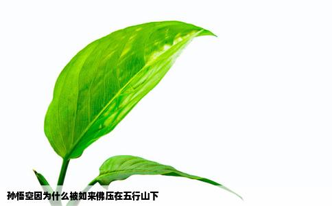 孙悟空因为什么被如来佛压在五行山下