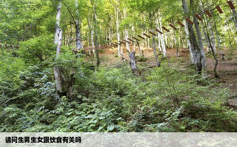 请问生男生女跟饮食有关吗