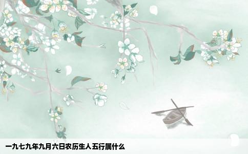 一九七九年九月六日农历生人五行属什么