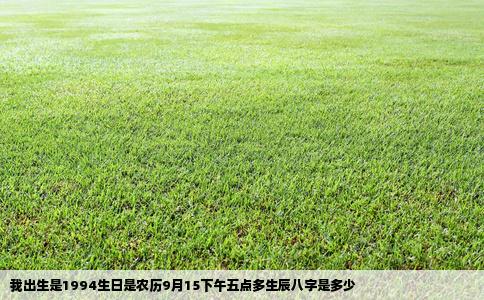 我出生是1994生日是农历9月15下午五点多生辰八字是多少