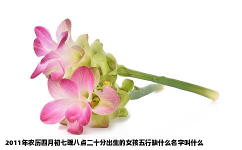 2011年农历四月初七晚八点二十分出生的女孩五行缺什么名字叫什么