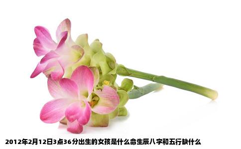 2012年2月12日3点36分出生的女孩是什么命生辰八字和五行缺什么