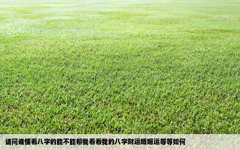 请问谁懂看八字的能不能帮我看看我的八字财运婚姻运等等如何