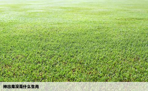 神出鬼没是什么生肖