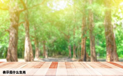 表示是什么生肖