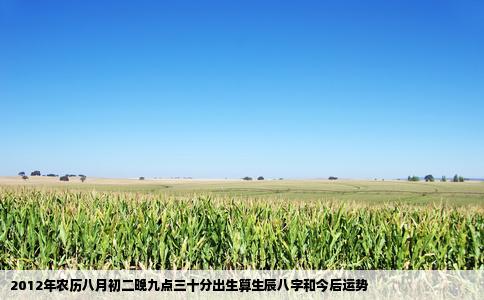 2012年农历八月初二晚九点三十分出生算生辰八字和今后运势