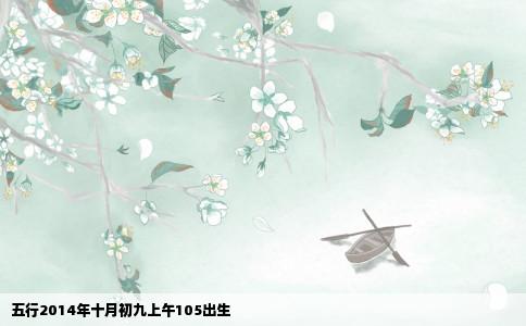 五行2014年十月初九上午105出生