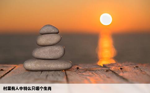 村里有人中特么只哪个生肖