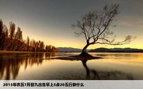 2015年农历7月初九出生早上5点20五行缺什么