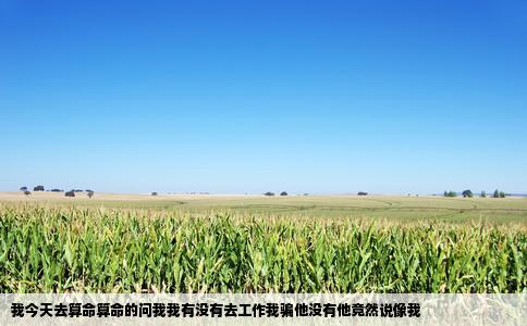 我今天去算命算命的问我我有没有去工作我骗他没有他竟然说像我