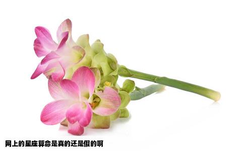 网上的星座算命是真的还是假的啊