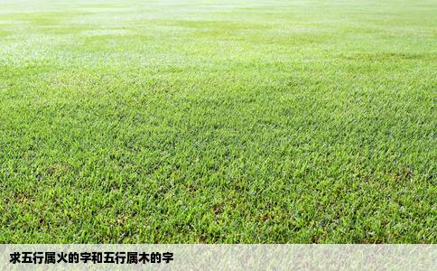 求五行属火的字和五行属木的字
