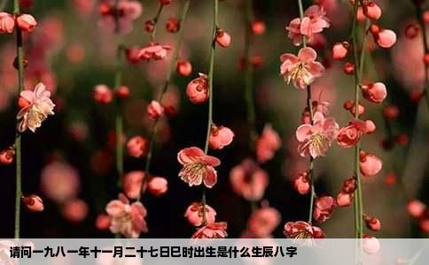 请问一九八一年十一月二十七日巳时出生是什么生辰八字