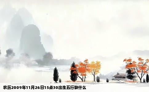 农历2009年11月26日15点30出生五行缺什么