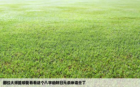 那位大师能帮我看看这个八字劫财日元杀坤造壬丁