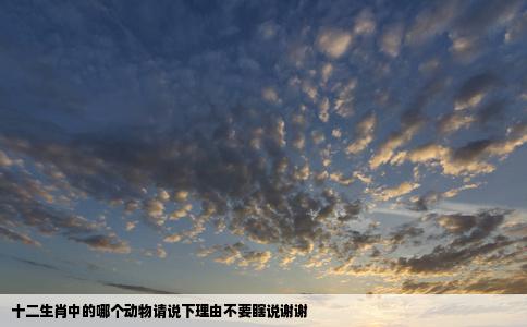 十二生肖中的哪个动物请说下理由不要瞎说谢谢
