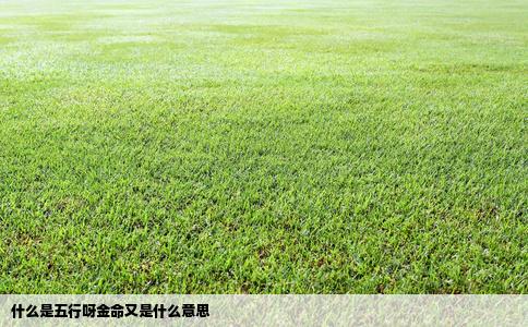 什么是五行呀金命又是什么意思