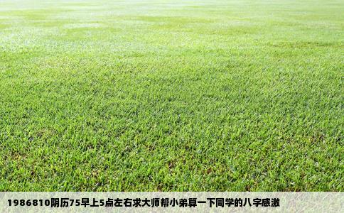 1986810阴历75早上5点左右求大师帮小弟算一下同学的八字感激