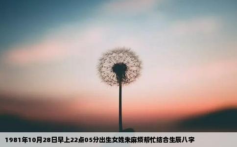 1981年10月28日早上22点05分出生女姓朱麻烦帮忙结合生辰八字