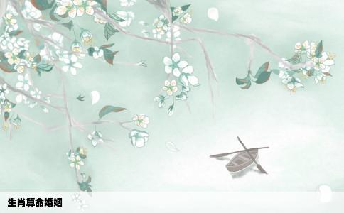 生肖算命婚姻