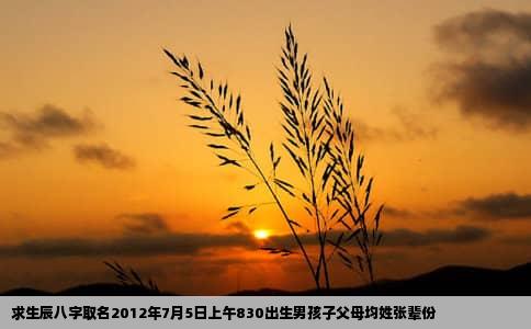 求生辰八字取名2012年7月5日上午830出生男孩子父母均姓张辈份