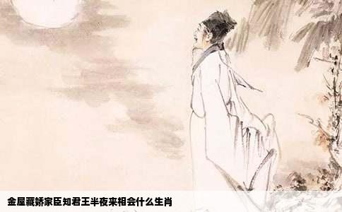 金屋藏娇家臣知君王半夜来相会什么生肖