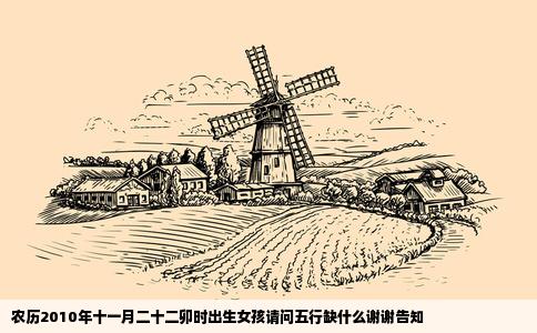 农历2010年十一月二十二卯时出生女孩请问五行缺什么谢谢告知