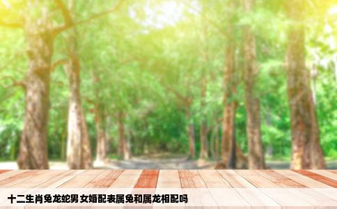 十二生肖兔龙蛇男女婚配表属兔和属龙相配吗