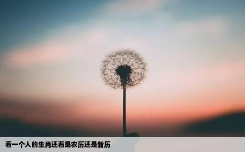 看一个人的生肖还看是农历还是新历