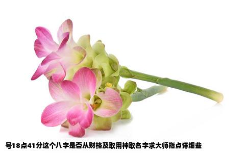 号18点41分这个八字是否从财格及取用神取名字求大师指点详细些
