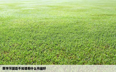 想学习算命不知道看什么书最好