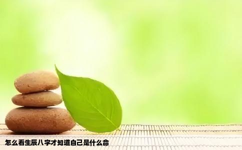 怎么看生辰八字才知道自己是什么命