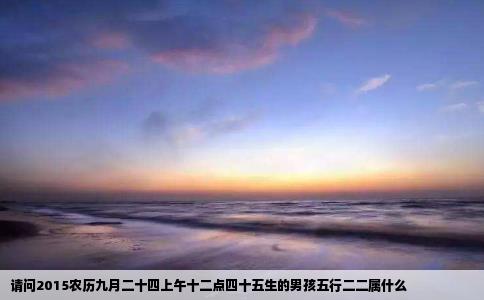 请问2015农历九月二十四上午十二点四十五生的男孩五行二二属什么