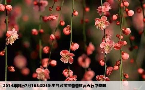 2014年阴历7月188点25出生的男宝宝爸爸姓高五行中缺啥