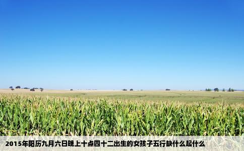 2015年阳历九月六日晚上十点四十二出生的女孩子五行缺什么起什么