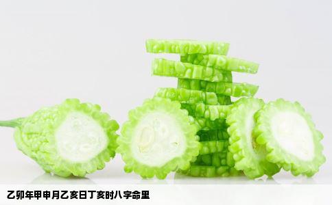 乙卯年甲申月乙亥日丁亥时八字命里
