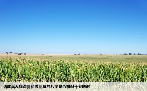 请教高人指点我和男朋友的八字是否相配十分感谢