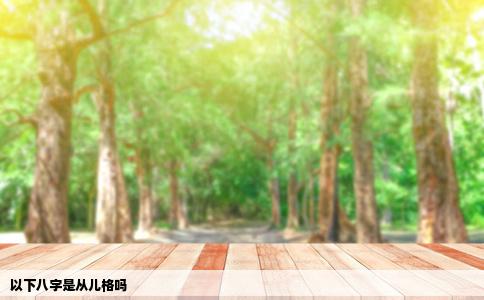 以下八字是从儿格吗