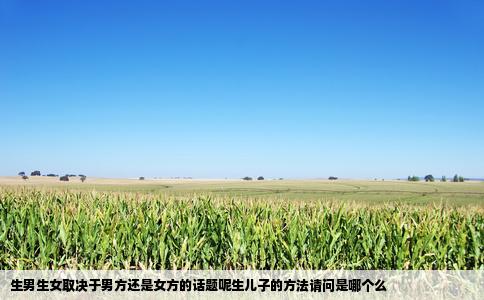 生男生女取决于男方还是女方的话题呢生儿子的方法请问是哪个么