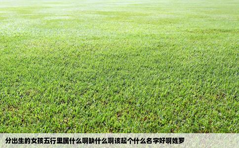 分出生的女孩五行里属什么啊缺什么啊该起个什么名字好啊姓罗
