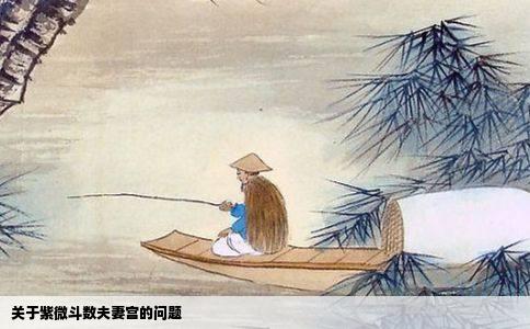 关于紫微斗数夫妻宫的问题