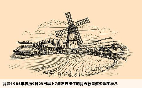 我是1985年农历9月23日早上7点左右出生的我五行是多少呢生辰八