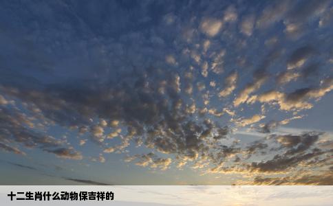 十二生肖什么动物保吉祥的