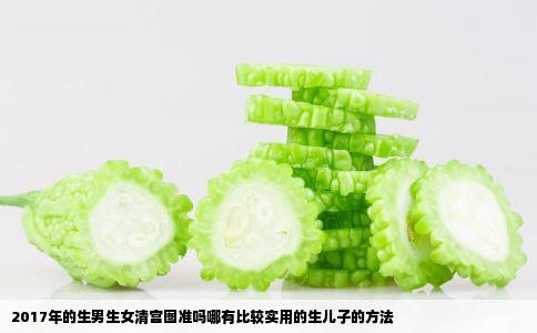 2017年的生男生女清宫图准吗哪有比较实用的生儿子的方法