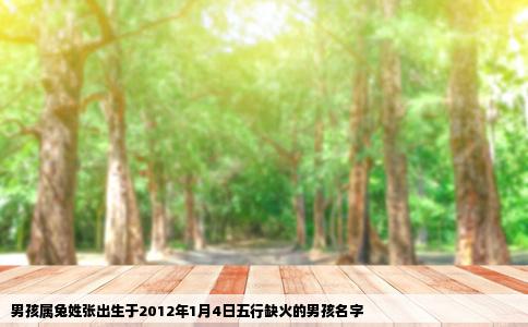 男孩属兔姓张出生于2012年1月4日五行缺火的男孩名字