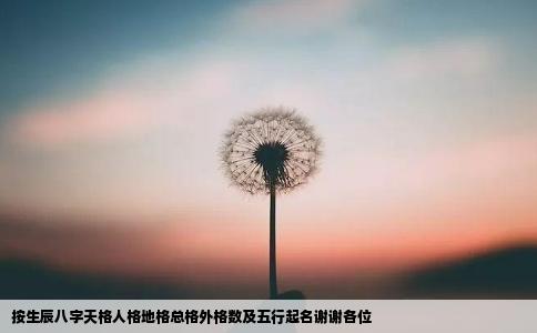按生辰八字天格人格地格总格外格数及五行起名谢谢各位