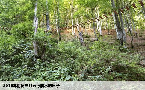 2015年阴历三月五行属水的日子